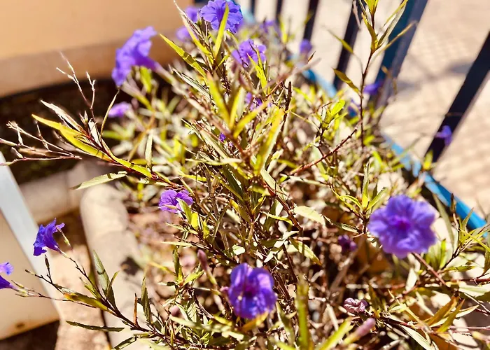 Oasis Meloneras Cerca Del Mar Villa