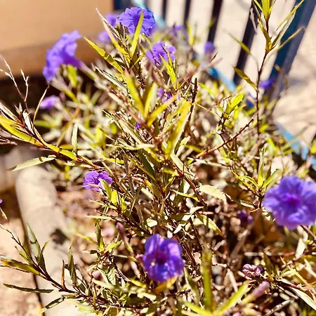 Oasis Meloneras Cerca Del Mar 빌라